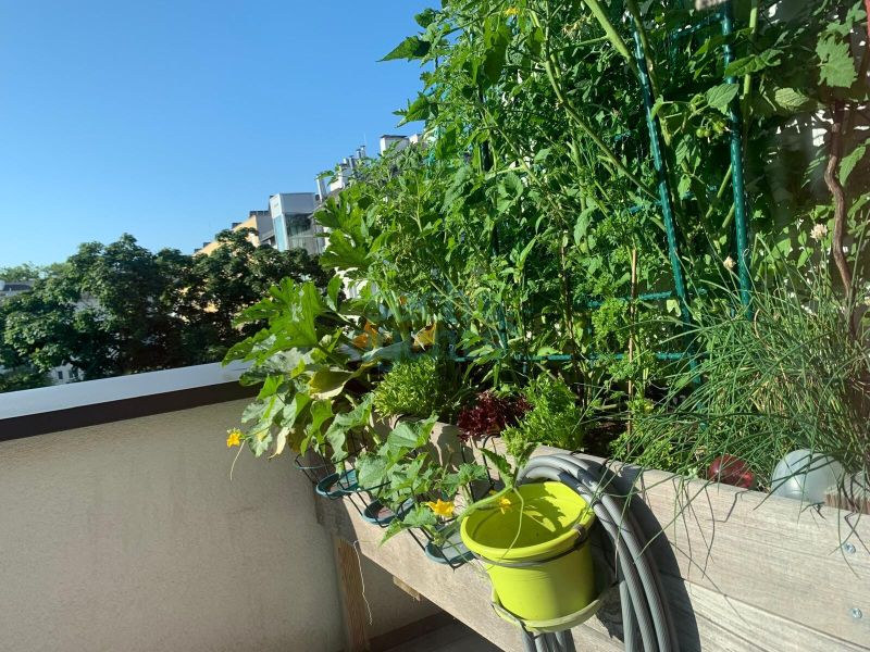 Penthouse-Feeling mit zwei gro�en Terrassen & Premium-Ausrichtung / Lift / barrierefrei /  / 4030&nbsp;Linz / Bild 5