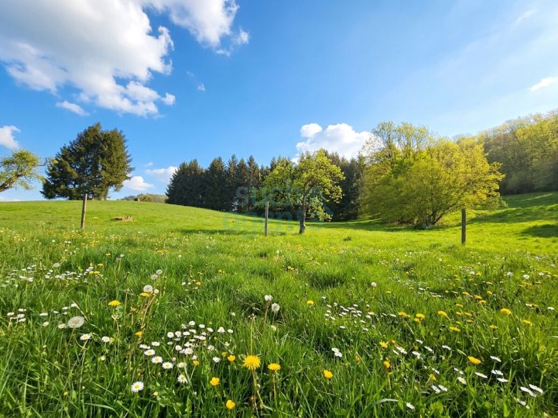 Neuer Preis! Mehrfamilienhaus mit Top-Preis-Leistung ? 2 Einheiten, Pool, Sauna & ca. 9.000 m� Grund /  / 4040&nbsp;Linz / Bild 2