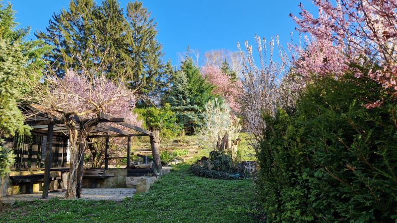 Fr�hling 2026 ! Gro�artige Liegenschaft in Chorherrn zu verkaufen ! Jetzt Termin vereinbaren ! /  / 3430&nbsp;Chorherrn / Bild 0