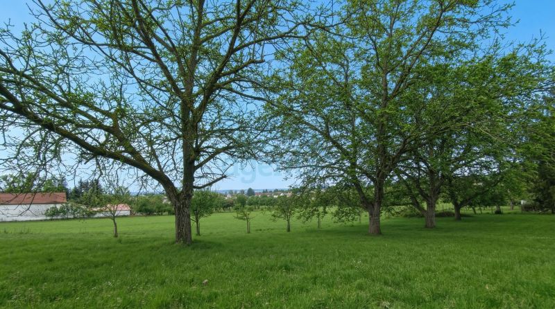 1.145 m� Grundst�ck - 10 Minuten von Wiener Neustadt entfernt!