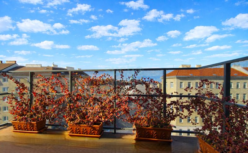 Aehnliche Immobilie - Vorschaubild 2