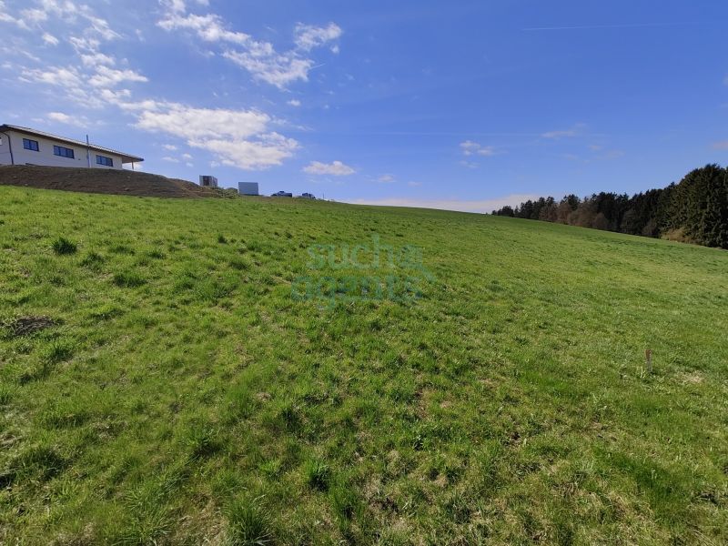 Voll erschlossenes Baugrundst�ck in der familienfreundlichen Gemeinde Gampern - Nahe Attersee /  / 4851&nbsp;Gampern / Bild 1