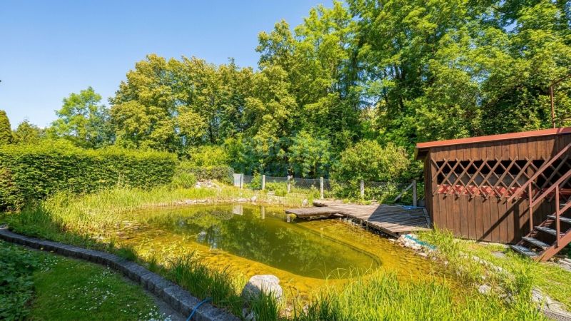 Mehrfamilienhaus in Ruhelage mit Naturteich & Waldblick mit ca. 400 m2 Nutzfl�che und 8 Zimmer /  / 4050&nbsp;Traun / Bild 2