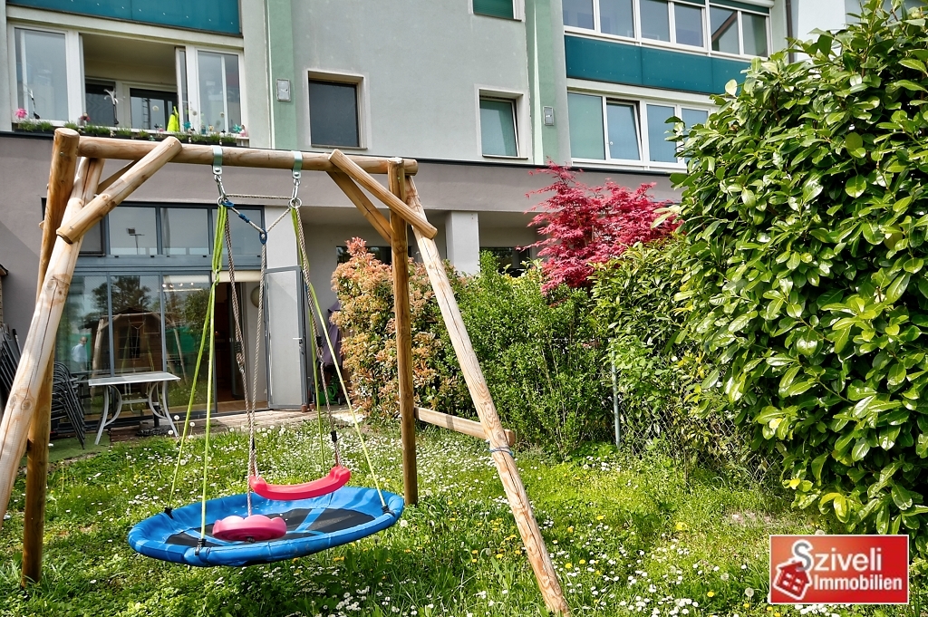 Der Sommer kann kommen /  / 2352 Gumpoldskirchen / Bild 1