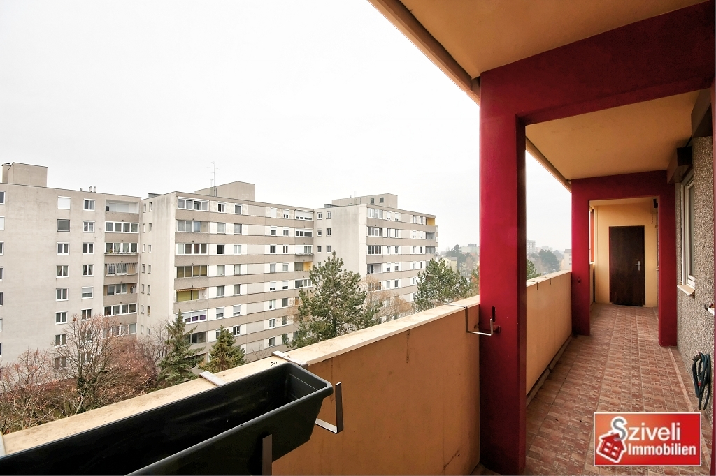 Aber Jetzt! - Viel Platz mit Weitblick /  / 2351 Wiener Neudorf / Bild 2